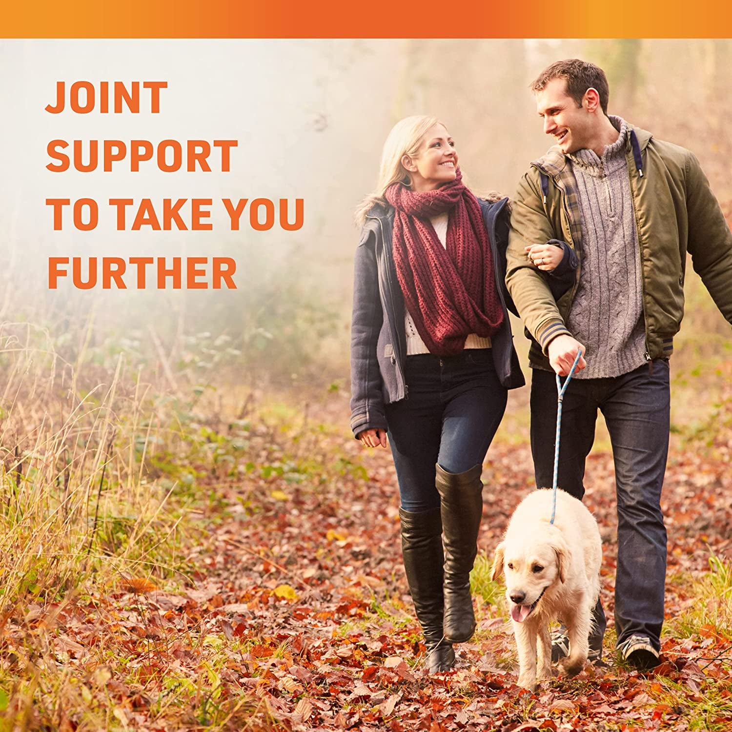 Turmeric and Ginger Supplement - Tumeric Curcumin Joint Support Pills - with Apple Cider Vinegar & Bioperine Black Pepper - 95% Curcuminoids - 60 Capsules